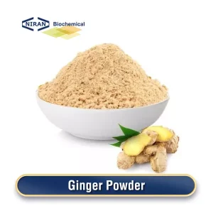 Ginger Powder