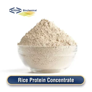 Rice Protein Concentrate