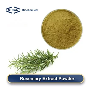 Rosemary Extract Powder