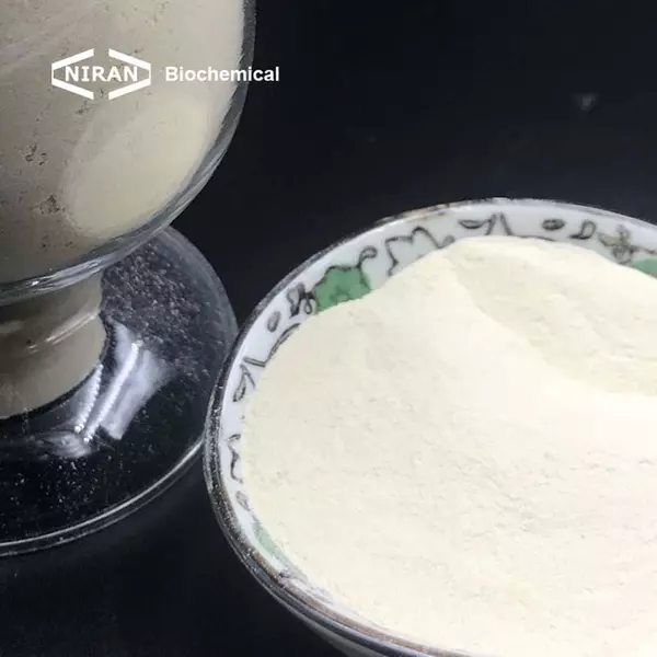 Gluten de trigo vital