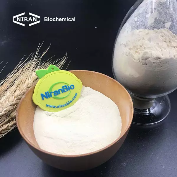 Gluten de trigo vital