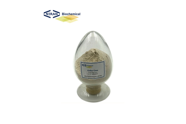 Goma gellan