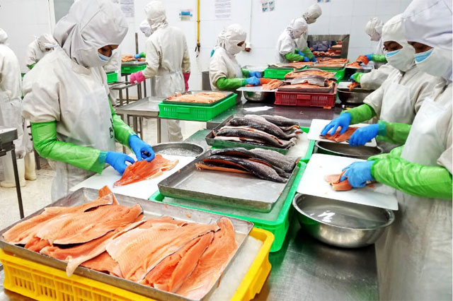 Procesamiento de mariscos