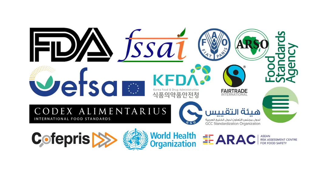 Major Regulatory Authorities and Frameworks