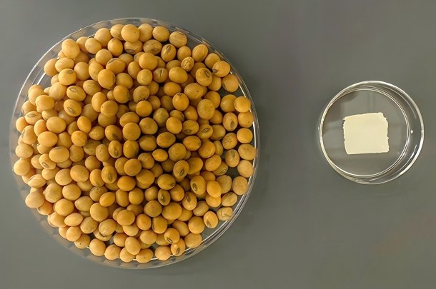 Isolated Soy Protein Injection